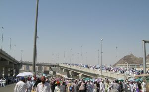 The Significance of Wireless Tour Guide System for Hajj doloremque